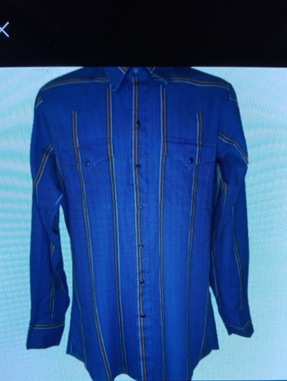 Vintage Panhandle Slim Western Men's Blue Striped Button-Down Shirt